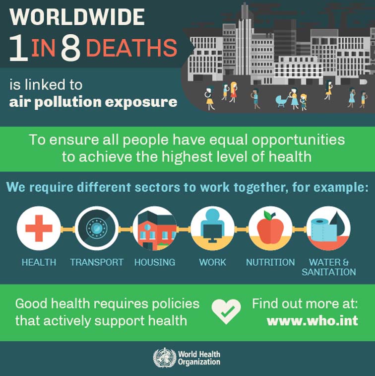 Health in All Policies Infographic 7360